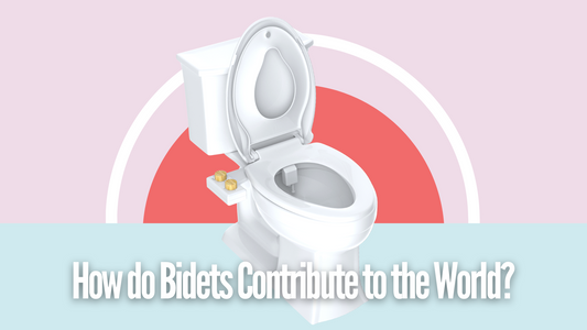 How do Bidets Contribute to the World?