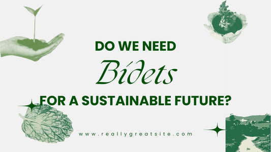 Do We Need Bidets for a Sustainable Future?