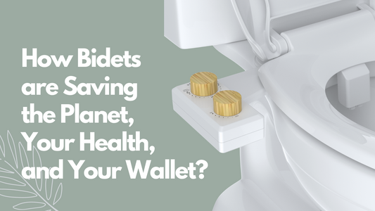 How Bidets are Saving the Planet, Your Health, and Your Wallet？