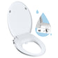 Hibbent Shop Toilet Seats Hibbent Round Bidet Toilet Seat with Slow Close, Non-Electric Bidet Attachment for Toilet Seat with Dual Nozzle, Bidet Sprayer with Adjustable Self-Cleaning Nozzles, Brass T Adapter Hibbent Round Bidet Toilet Seat with Slow Close, Non-Electric Bidet Attachment for Toilet Seat with Dual Nozzle, Bidet Sprayer with Adjustable Self-Cleaning Nozzles, Brass T Adapter