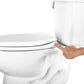 Hibbent Toilet Seats Hibbent One-Click Toilet Seat Cover Quick-Release Premium Toilet Seat Replacement